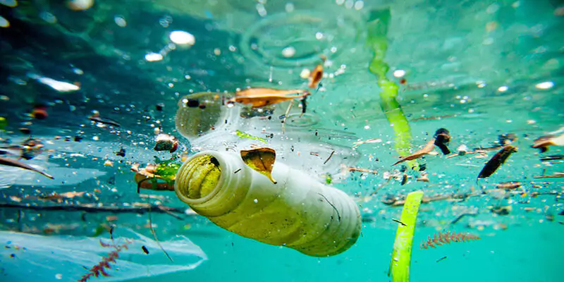 Tackling Odor and Environmental Issues in New Zealand’s Mobile Restroom Waste Management